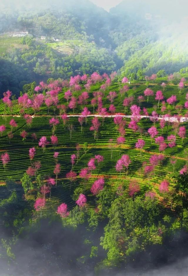 冬天在大理，要做这10件事！