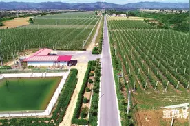 沃野处处展新姿 村美民富绘新图——2024年宝鸡市农业农村和乡村振兴工作回眸图片