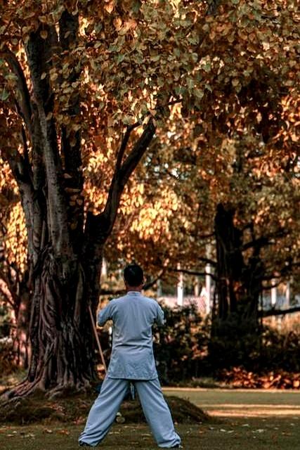 自学站桩避开这五个坑，效果提升一倍！附男女差异细节