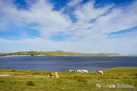 东北路书4：天边草原乌拉盖，还有哪里的草比得上它？图片