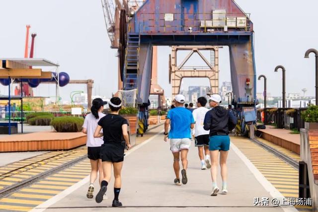 本周日，13km走读浦江，复兴岛终点见！