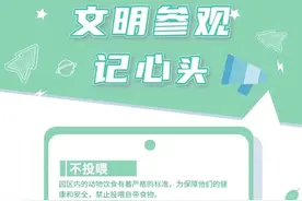 56岁女子向幼年大熊猫扔果皮，熊猫基地禁止其终身再次进入参观图片