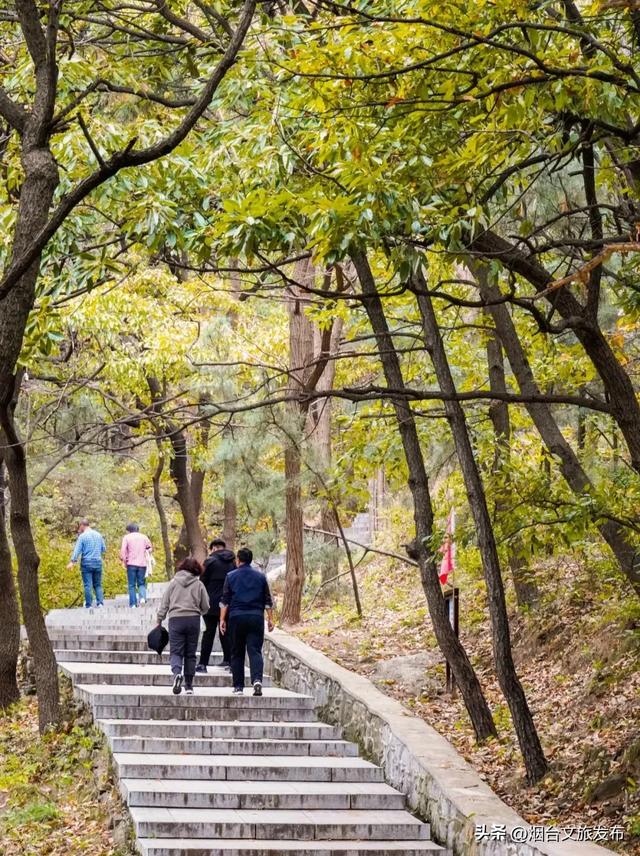 【乐游烟台】正式宣布！下一轮降温前，烟台人该……