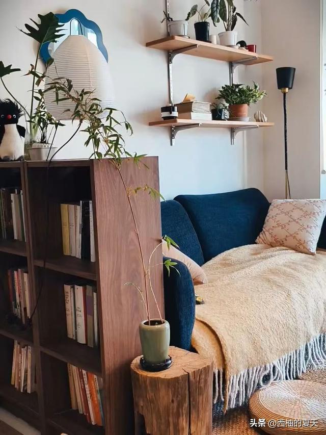 河南一男子晒出56平的家	，因太会收纳走红，全屋那叫一个脑洞大开