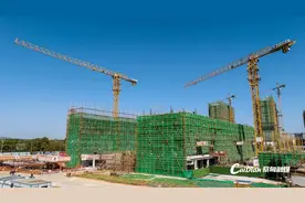 把大自然搬进家中 武汉首个“第四代住宅”试点项目加速建设图片