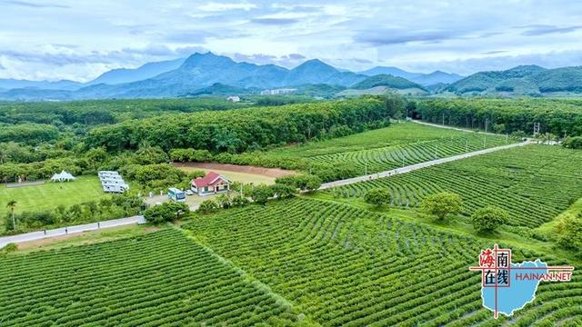 中秋国庆去哪儿|“发现海南大不同”带你先睹为快!