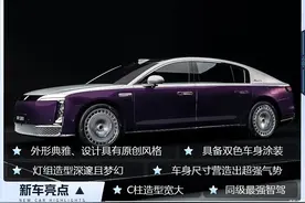 尊贵！大气！豪！100万选它还是S级、Panamera？图片