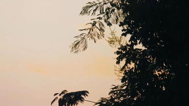 大美泌阳：泌水河两岸风光