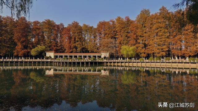 霜影下的城市绯霞