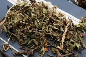 这些食物是结节的“消除剂”，每天吃一点，身体会感谢你！图片