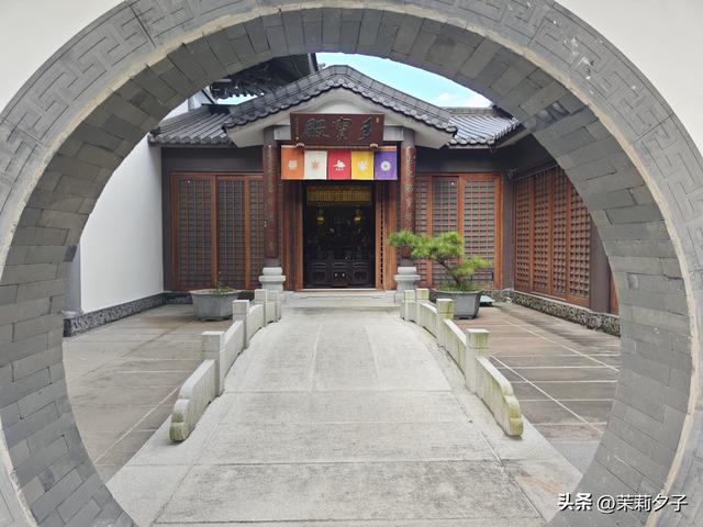福鼎市区一日游：从白茶发源地到市井小吃赏唐风建筑品山海韵味