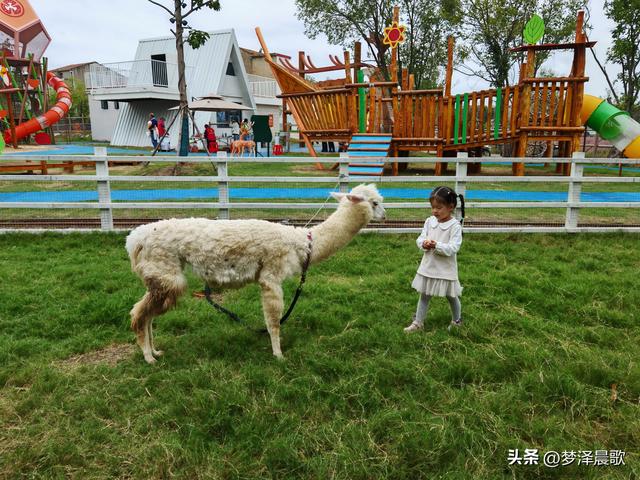 云梦仙境花开十月花雾醉游人