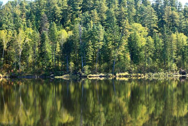 五一假期反向旅行，8个人少的目的地，风景渐入最佳观赏期