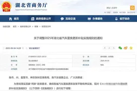 湖北汽车补贴大变！抢券新规引发抢购潮，消费者如何避坑拿补贴？图片