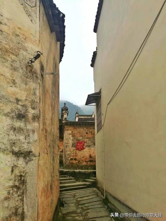 黟县塔川村初冬时节，一地落叶也是五彩斑斓