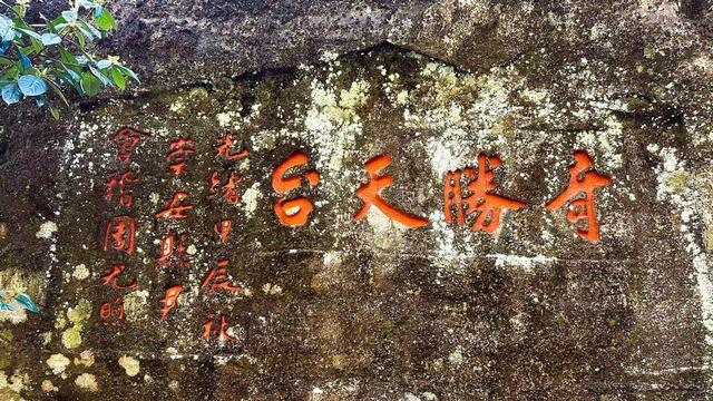 到武夷山国家公园，赴一场山水之约