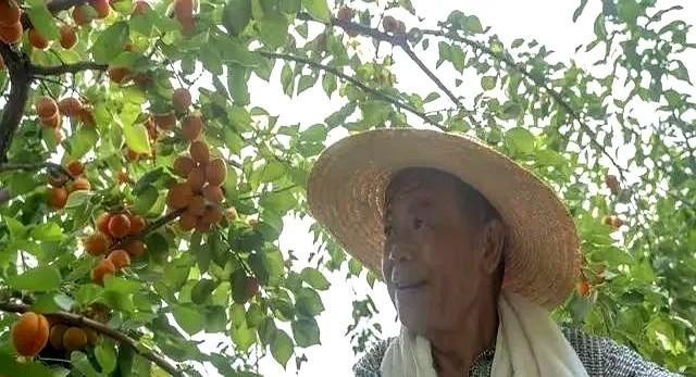 大家发现没有，在农村凡是存款几十万以上者，绝大多数都是这些人
