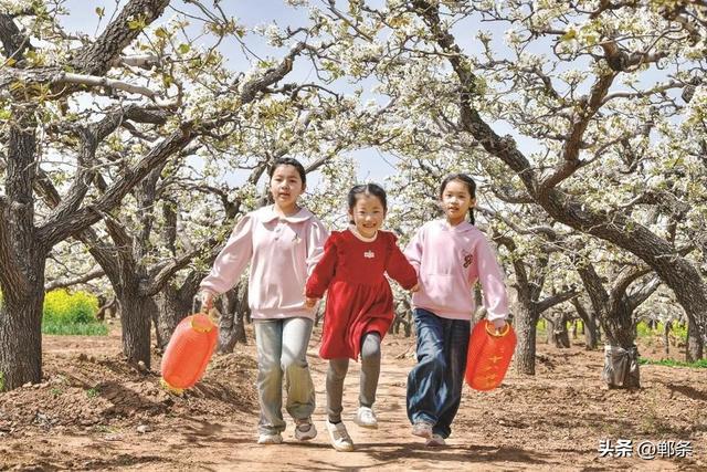 美在邯郸丨万顷雪海 一方盛情