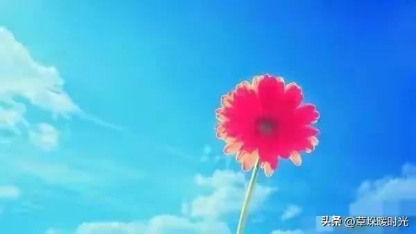 两性关系：55岁女人的大实话，男人过了50岁，只剩下一个“用处”