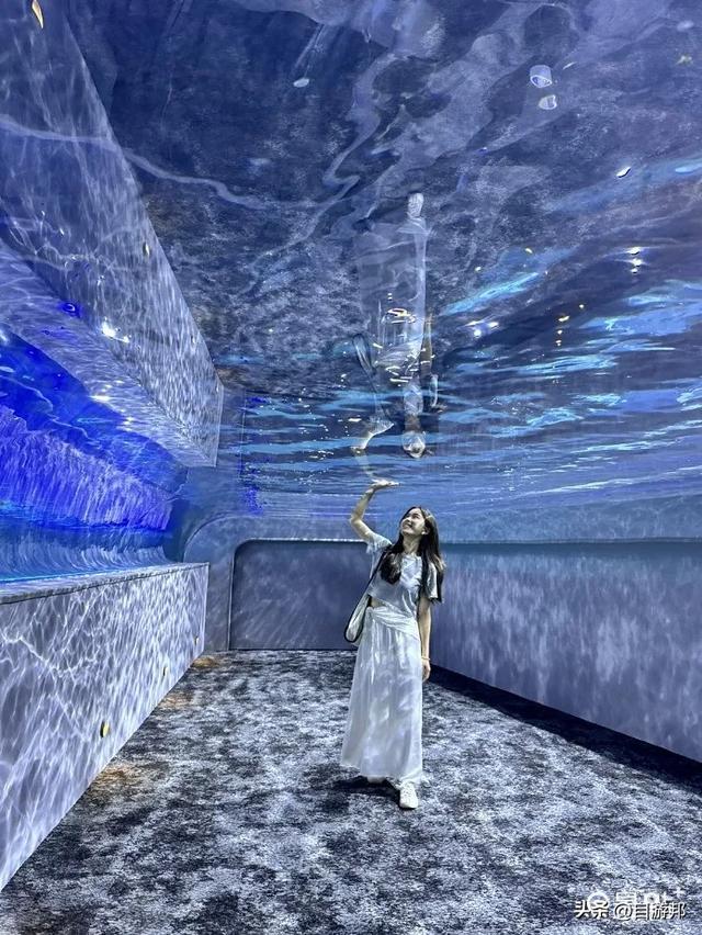 台中海洋馆 水母池艺术级水族体验 莲之水槽无敌梦幻
