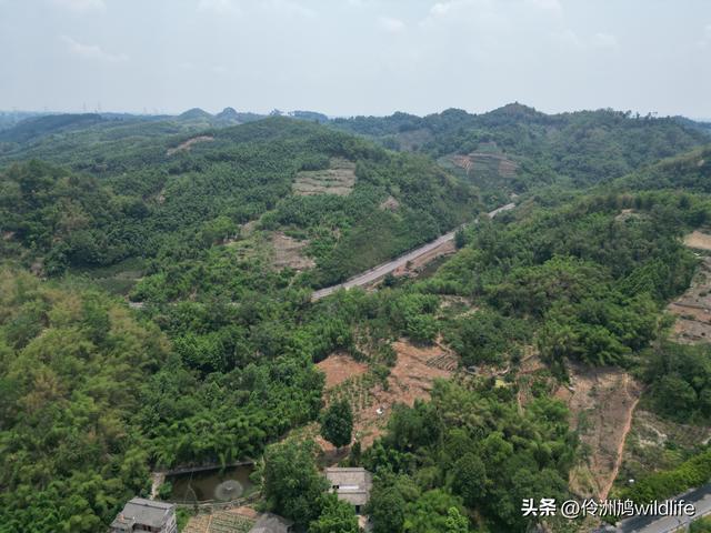 成都古镇（16）邛崃夹关古镇