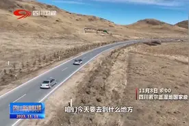 若尔盖湿地：在大草原的湖边守护候鸟飞回图片