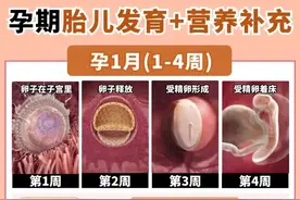 怀孕后，每个月要做什么？一篇文章讲清楚图片