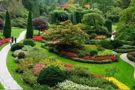 模仿起来自己在家做花境，50张相片总有你喜欢的，赶快拿走图片