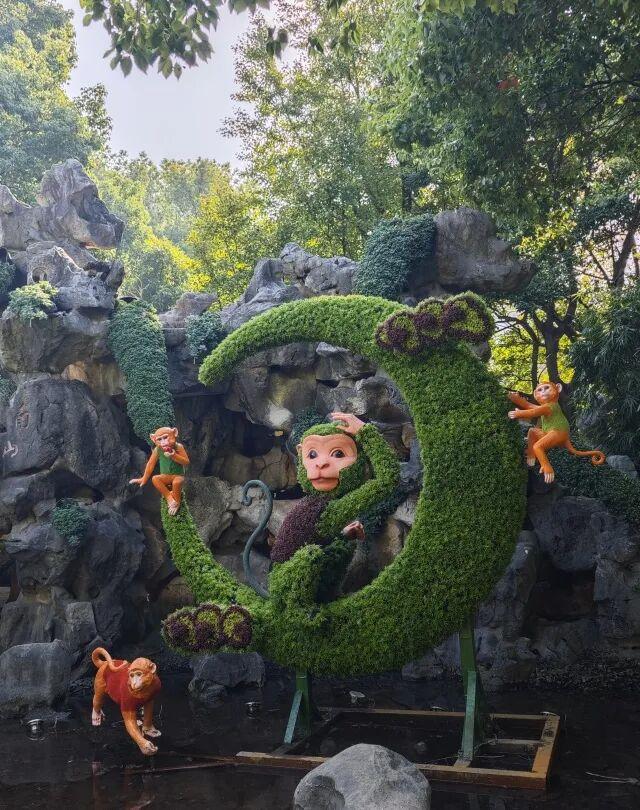 不愧是顶流！一大早就红了，人挤人持续好多天！萧山人家门口也有······