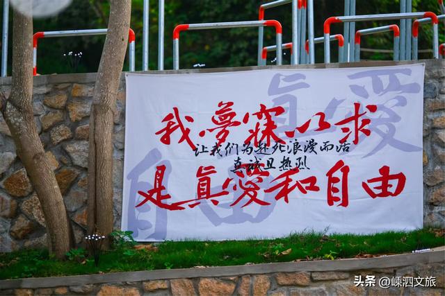 10月1日，泗礁岛这个私藏山海的宝藏乐园营业啦！好拍又好玩！