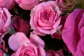 越老越有人爱的几个星座女图片