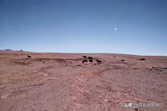 喀什经317到成都，民丰-改则，穿800里无人区，海拔从1500到5400