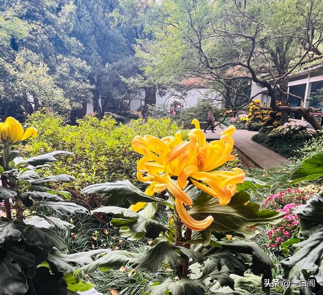 16:杭州千年古街——河坊街