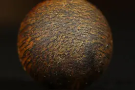 奇楠真假如何分辨？看懂这颗珠子你就全明白了图片