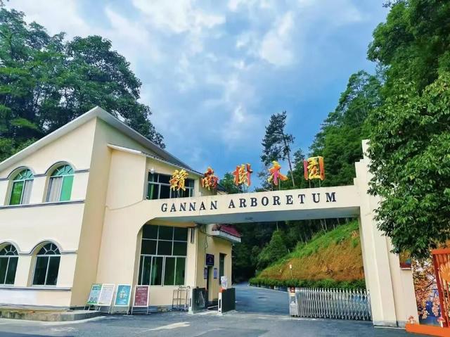 如画上犹，“枫”景独好！