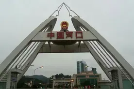 去年越南向中国出口近六百亿，中国都从越南买的啥？图片