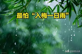 今日入梅，老人说最怕“入梅一日雨”，入梅下雨有啥预兆？图片