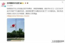 胡女士救日本人后续 , 日本大使馆降半旗 网友: 政府请公布嫌疑人动机图片