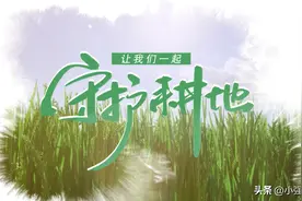 【守护耕地系列报道丨规范设施农业用地管理 严查违规改变用途 】图片