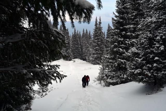 为了这道光，我做了一次疯狂的行动