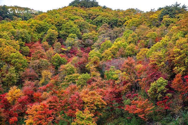 辽宁五女山秋景藏彩蛋！雾中五女山，红叶未满，意境已绝！