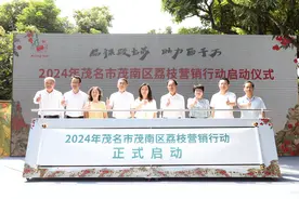 千年古荔园 振兴新画卷：2024茂南荔枝营销系列行动正式启动图片