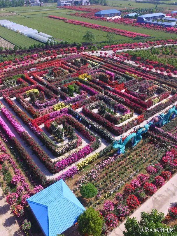 南阳秋色进行时：99%游客错过的6处绝美机位全公开