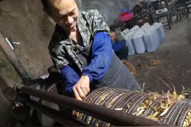 农村自榨油受欢迎，榨油会违法？网传自榨油不安全，农民怎么看？图片