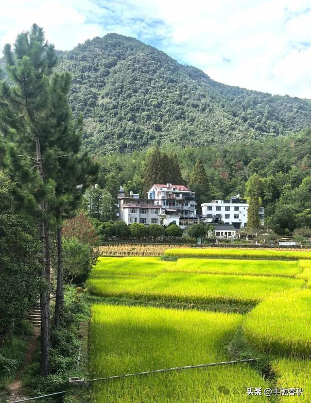 童话世界，田园风光｜永畅