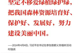 学习日历｜2024年4月4日图片