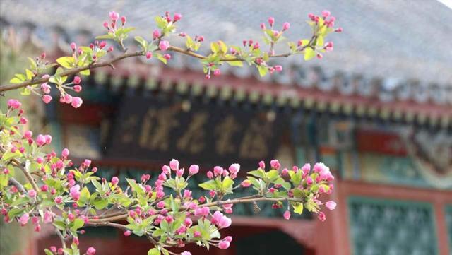 我家兄妹三个母亲跟我养老，每月给我3000生活费，两个哥哥不乐意