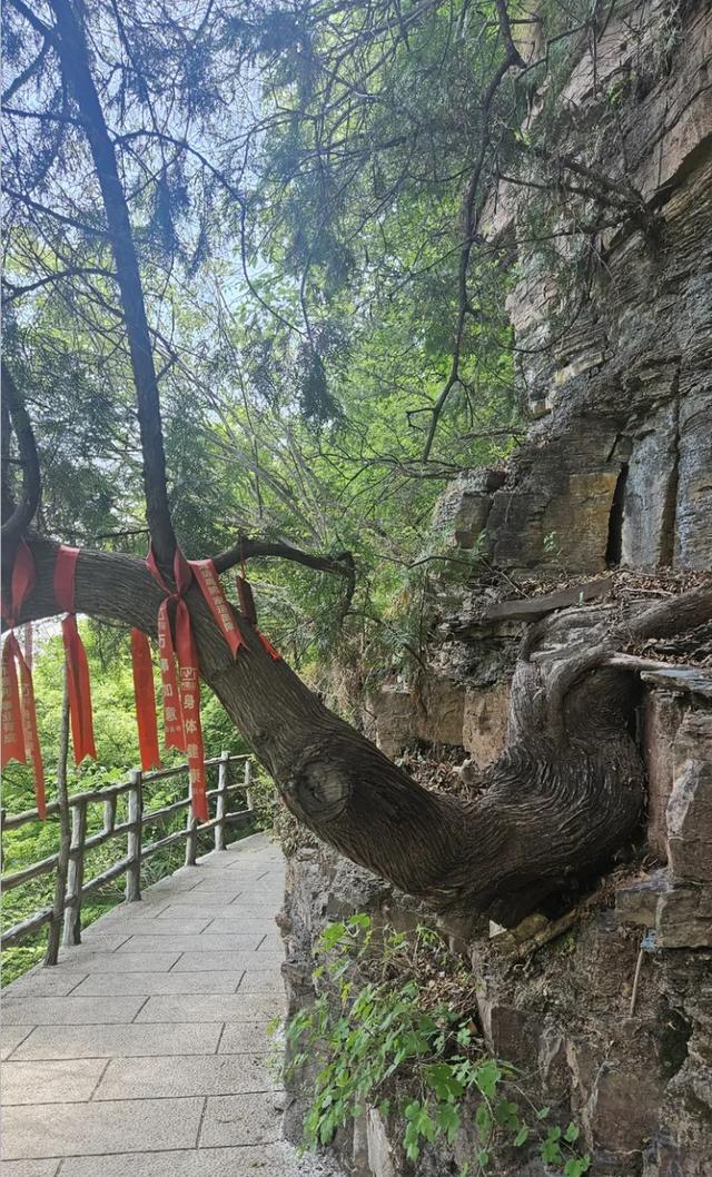 躲进燕山深处的清凉世界：被清代列为"风水禁地"200年的原始山林