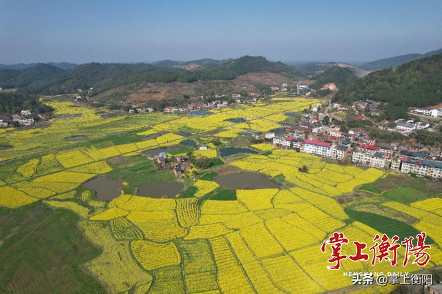 衡阳春日限定！收好这份踏青赏花打卡攻略~