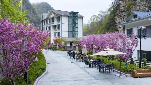 盐井峡红叶指数全省第二！这份专属赏秋攻略请查收